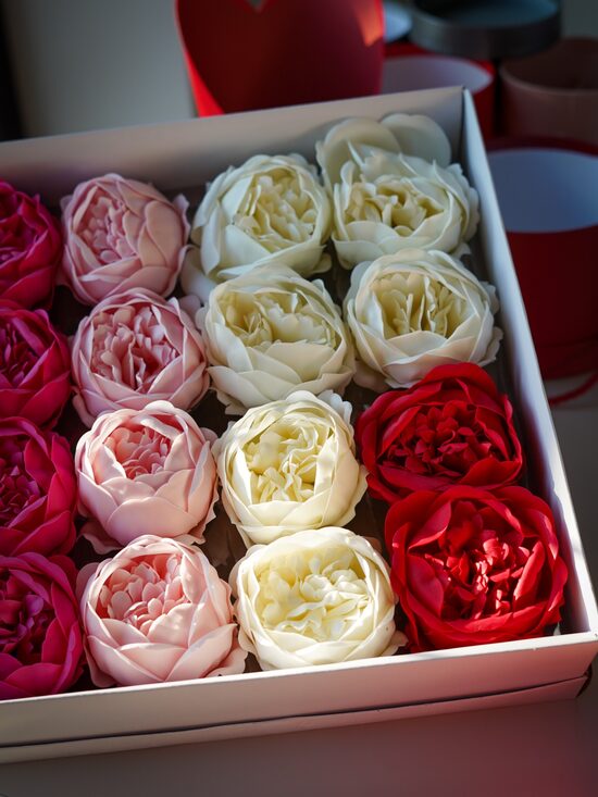 Peonija ziepju zieds